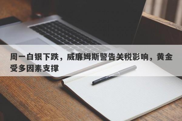 周一白银下跌，威廉姆斯警告关税影响，黄金受多因素支撑